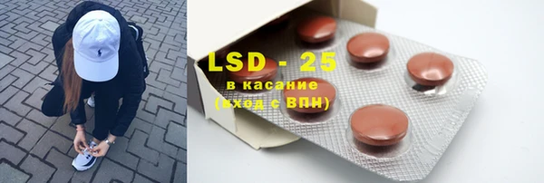 крисы Новодвинск
