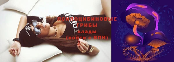 молекула духа Новокубанск
