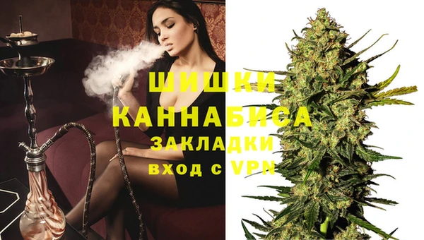крисы Новодвинск