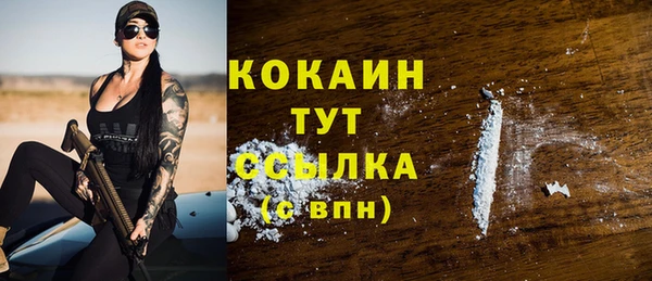 крисы Новодвинск