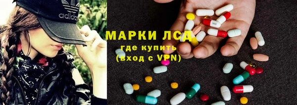 крисы Новодвинск