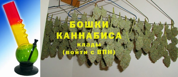 крисы Новодвинск