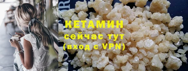 крисы Новодвинск