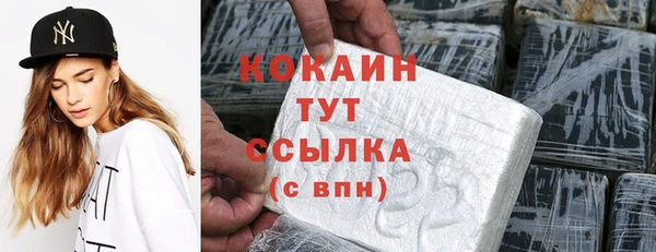 крисы Новодвинск