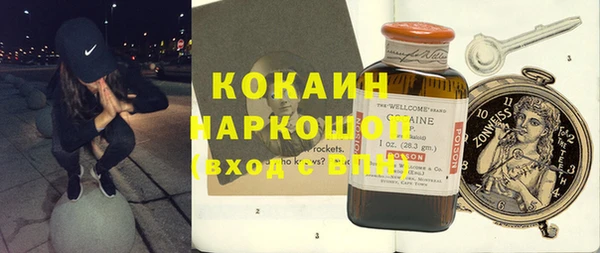 крисы Новодвинск