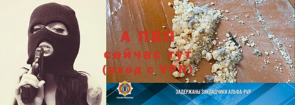 молекула духа Новокубанск