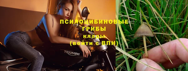 молекула духа Новокубанск