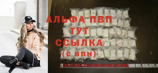 молекула духа Новокубанск